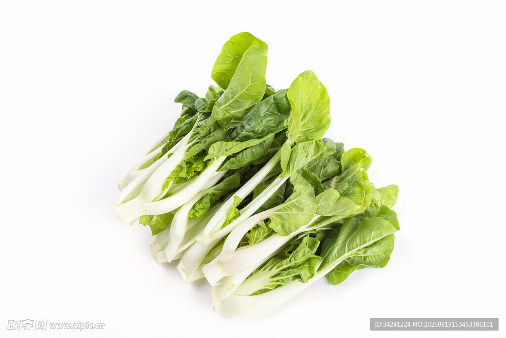 新鲜小白菜