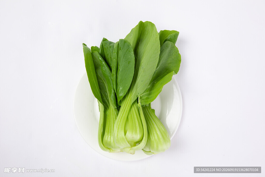 新鲜小白菜