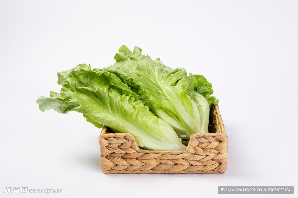 篮子里的新鲜生菜