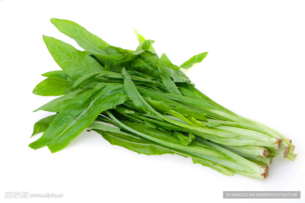 新鲜嫩绿菠菜一束