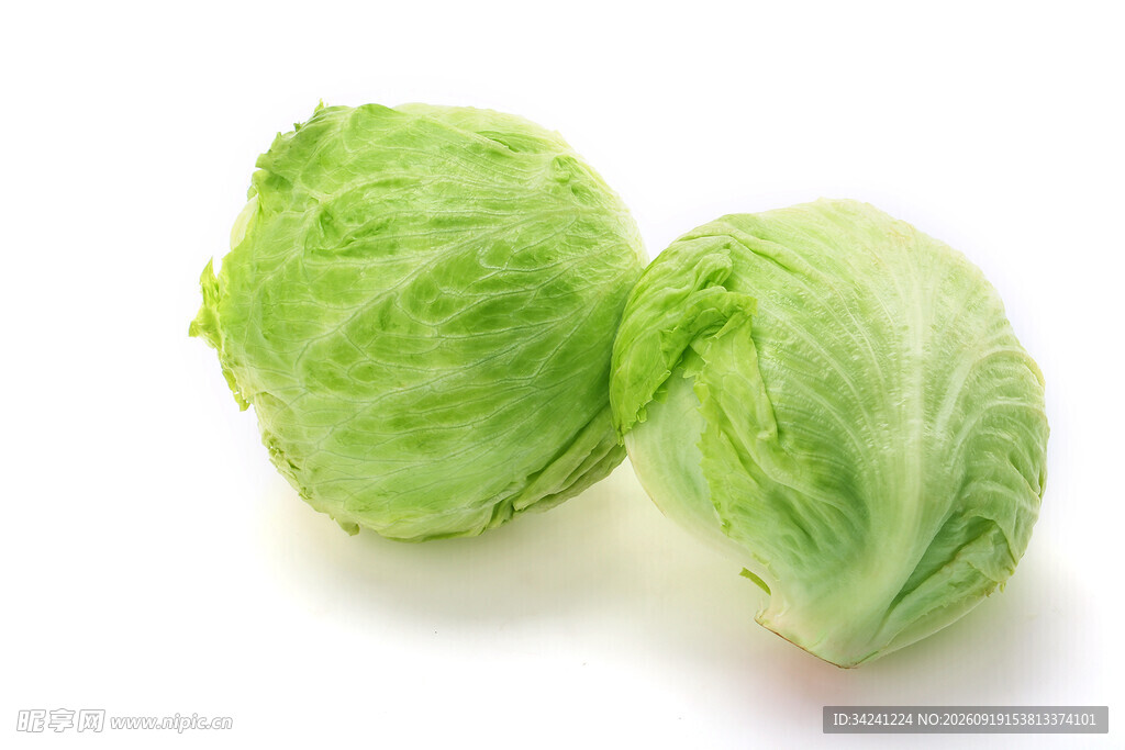新鲜圆白菜