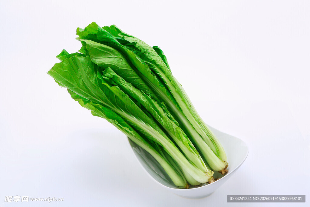 新鲜油麦菜翠绿欲滴