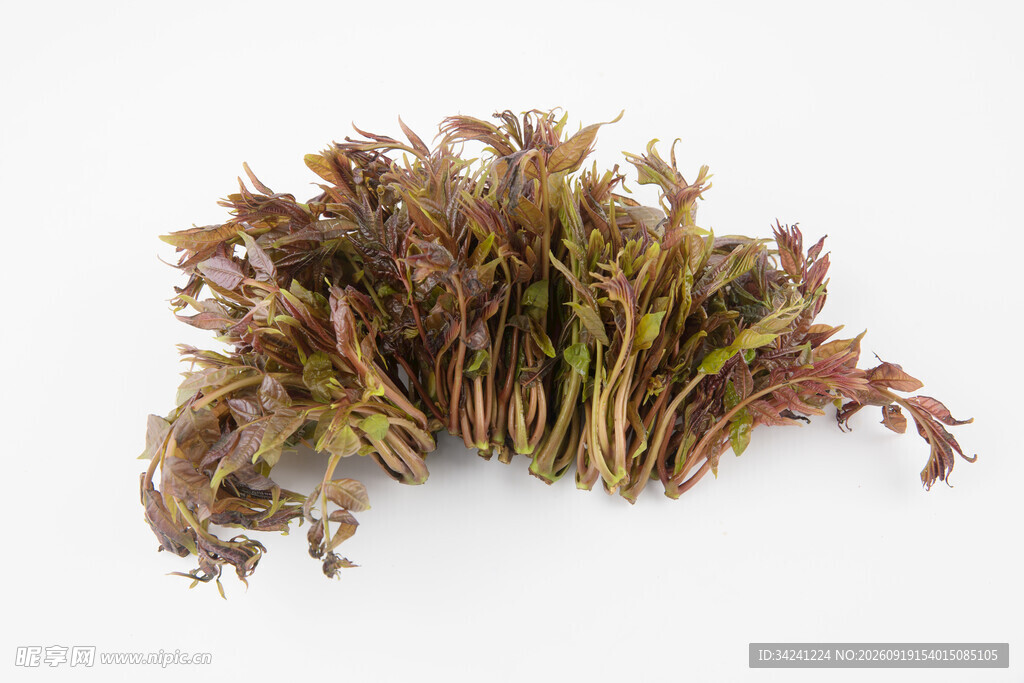 新鲜蕨菜