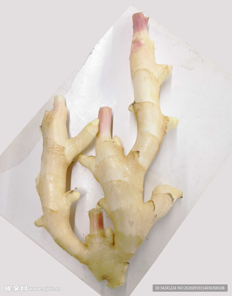 新鲜生姜特写