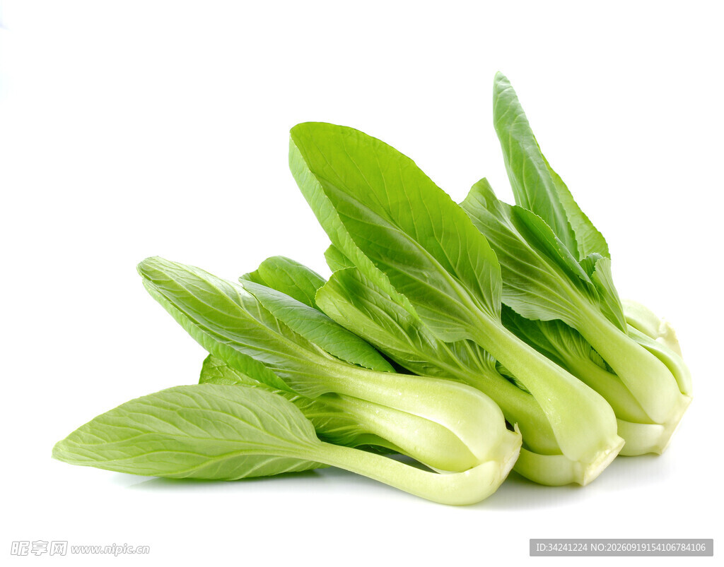 新鲜小白菜