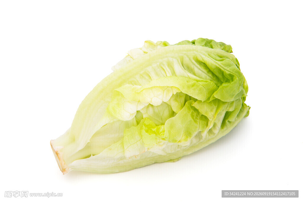 新鲜生菜