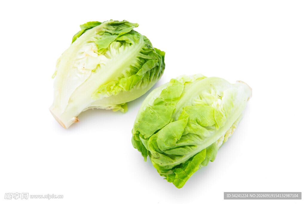 新鲜生菜翠绿欲滴