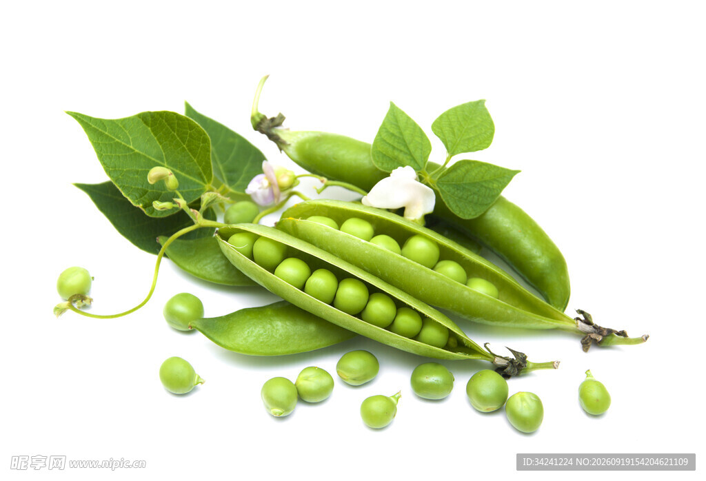 新鲜青豌豆饱满带荚