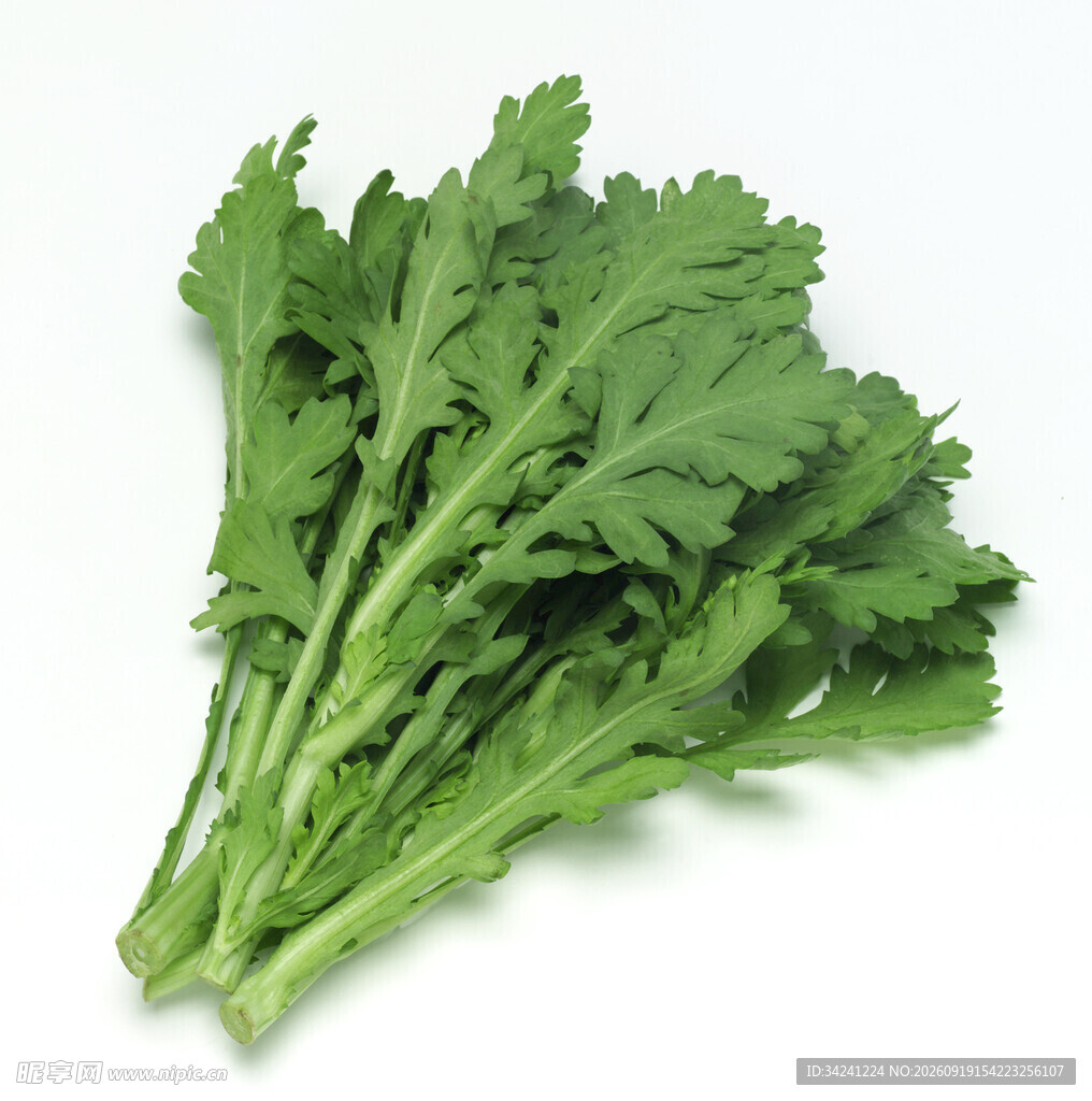 新鲜茼蒿蔬菜