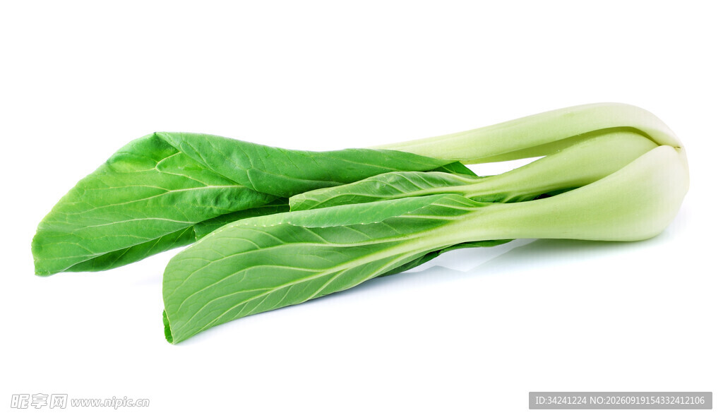 新鲜小白菜