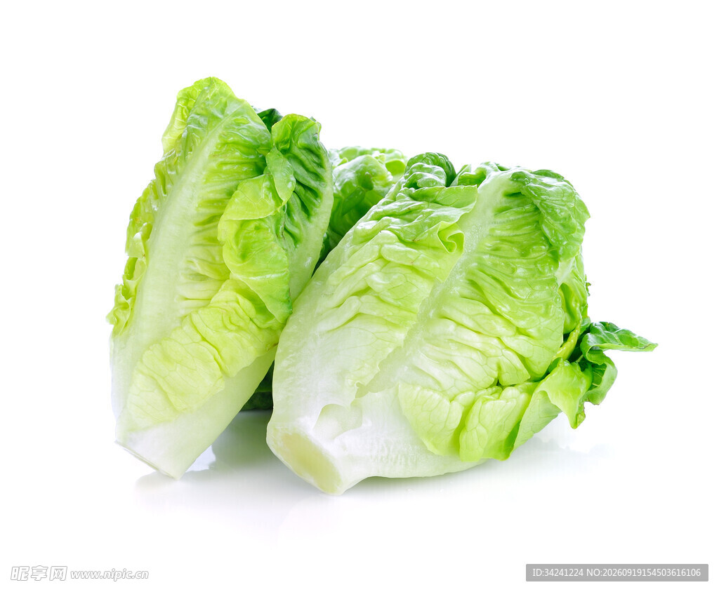 新鲜生菜两颗