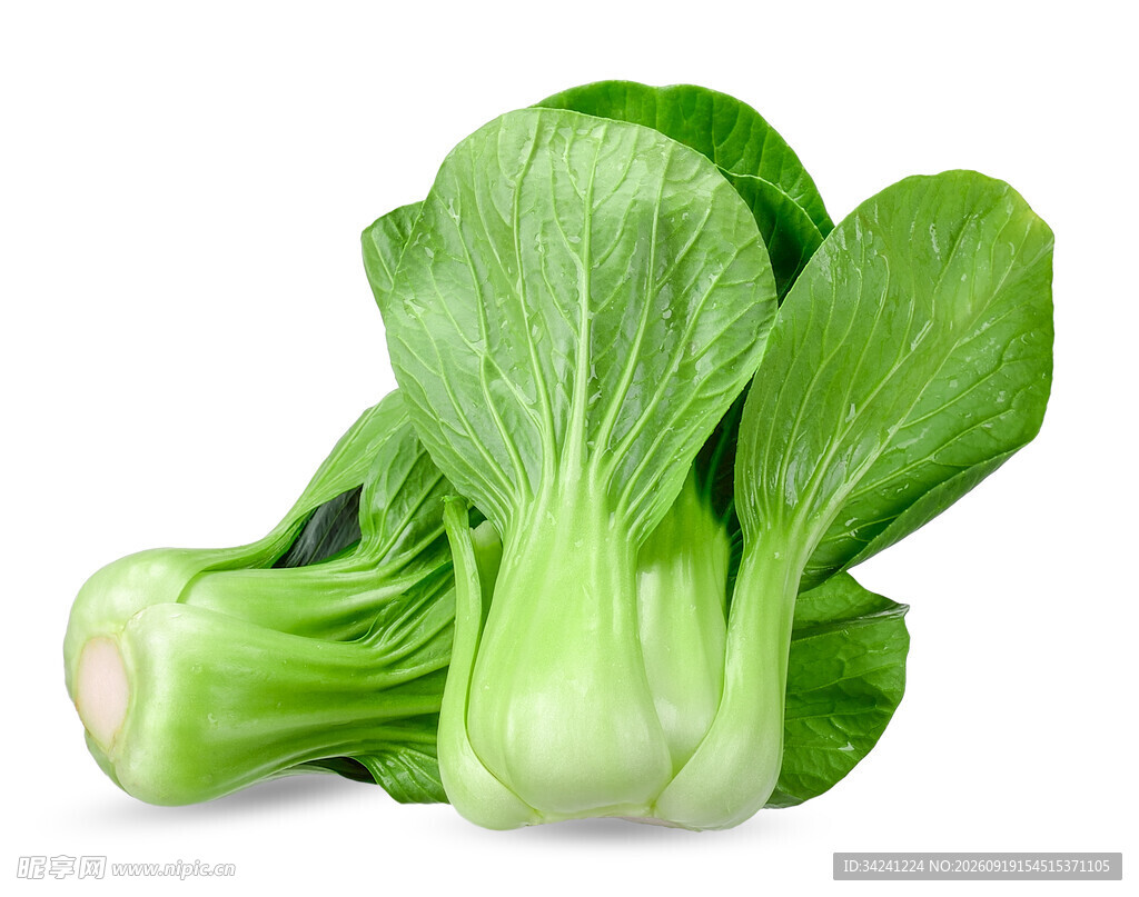新鲜小白菜