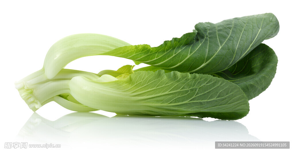 新鲜小白菜