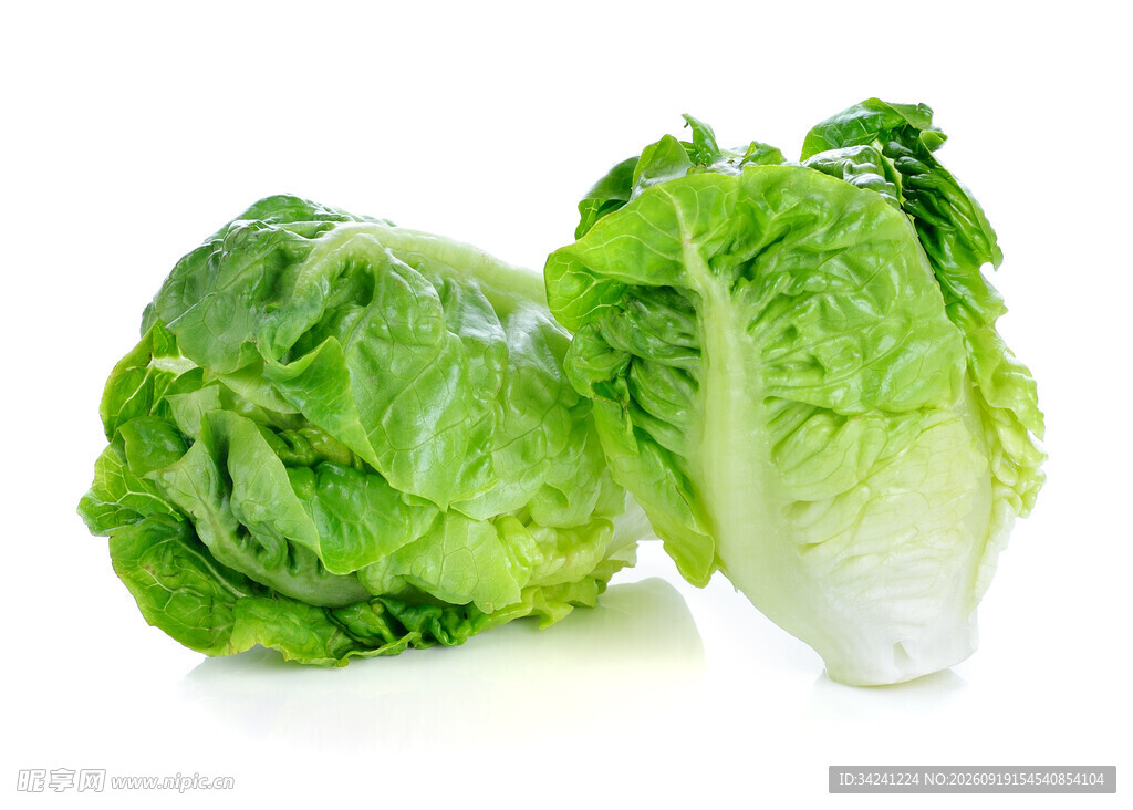新鲜生菜翠绿欲滴