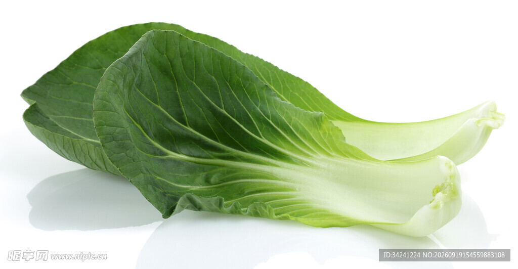 新鲜小白菜