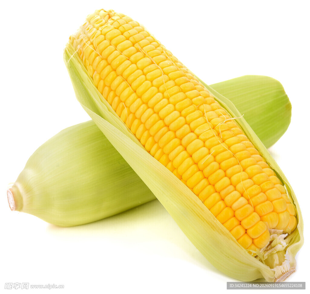 新鲜玉米棒