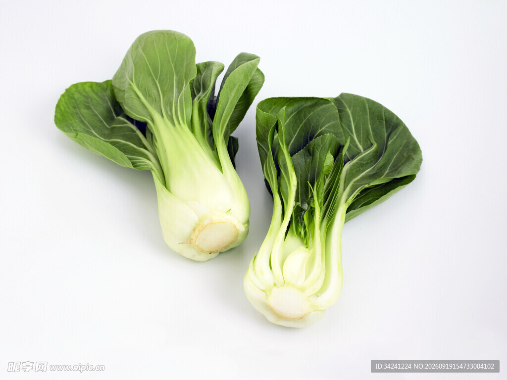 两颗鲜嫩小白菜