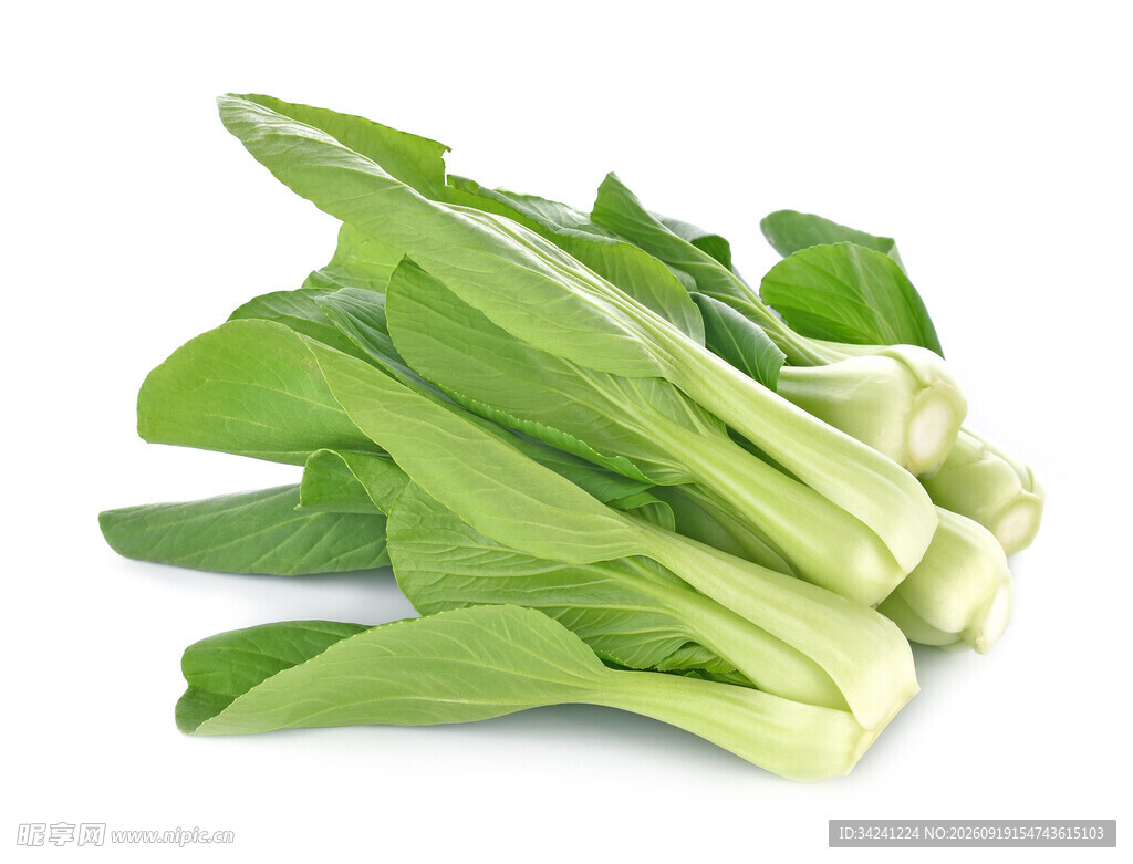 新鲜小白菜