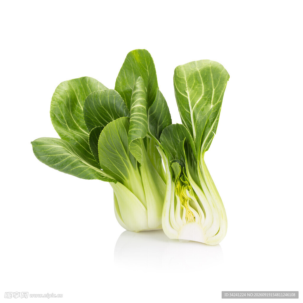 新鲜小白菜