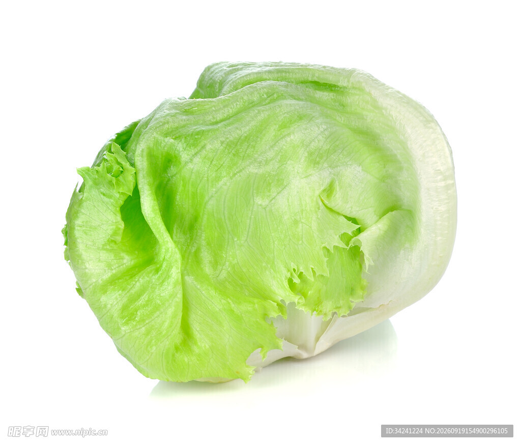 新鲜生菜