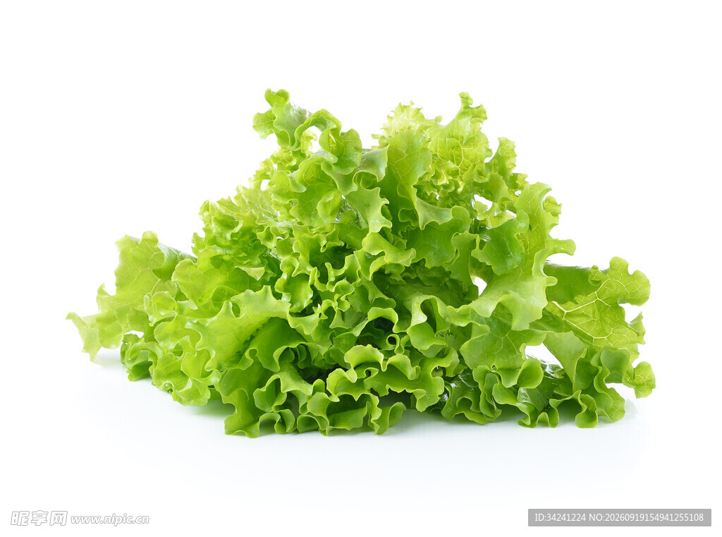 新鲜生菜