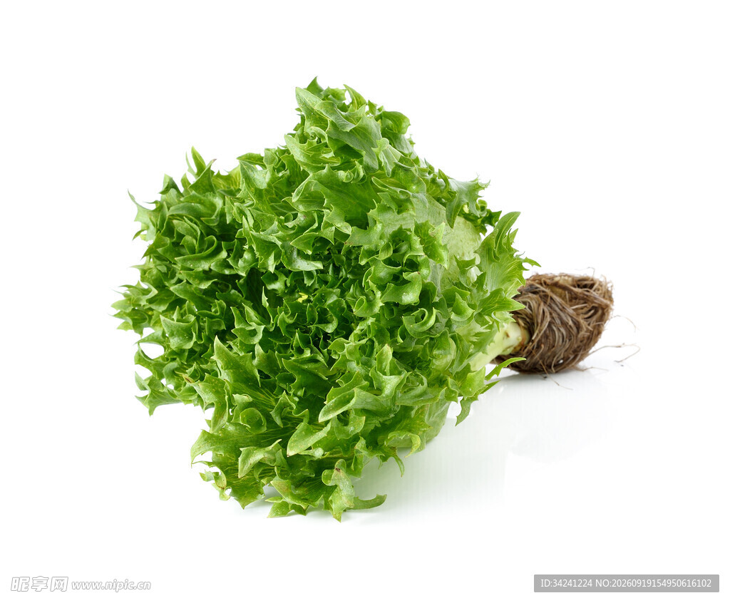 新鲜生菜翠绿欲滴
