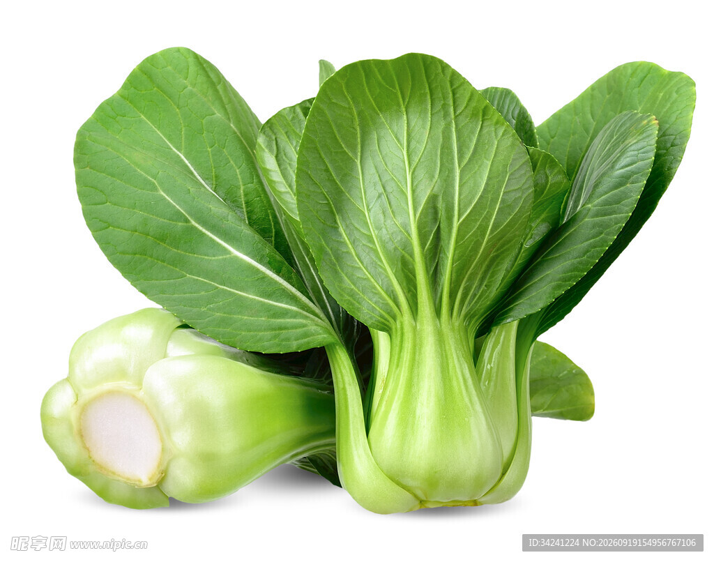 新鲜小白菜