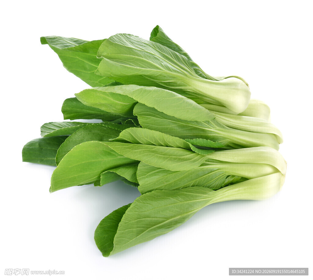 新鲜小白菜