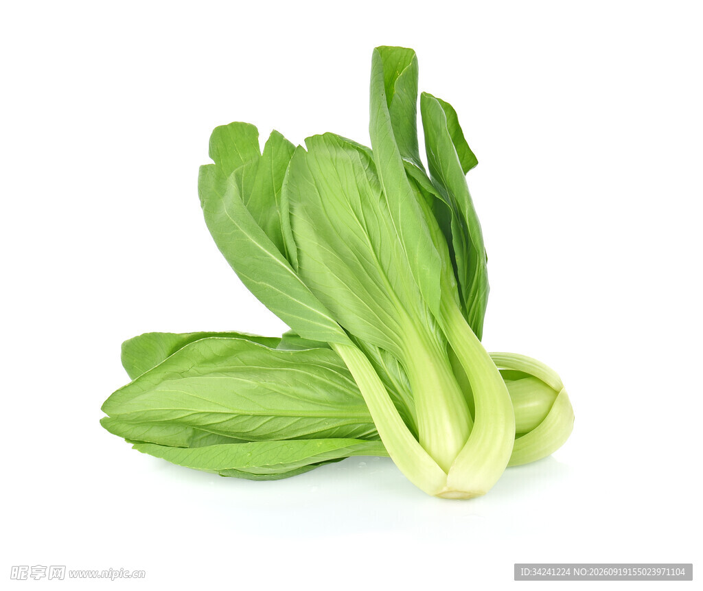 新鲜小白菜