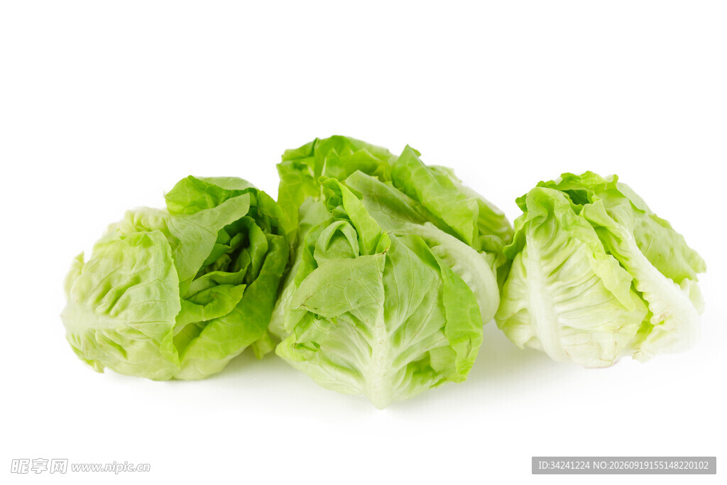 新鲜生菜翠绿欲滴