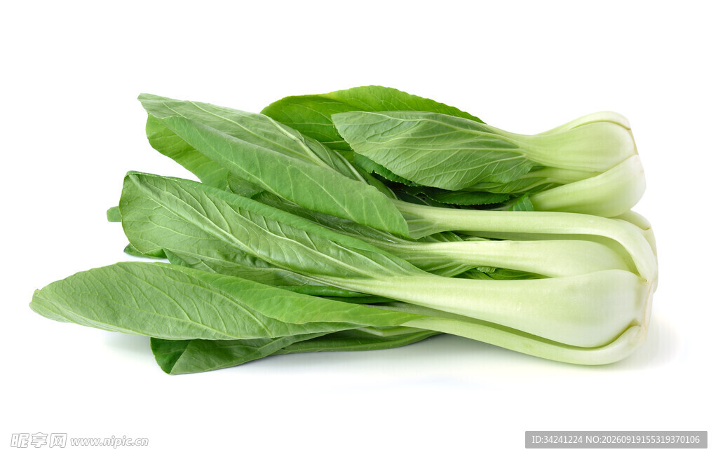 新鲜小白菜
