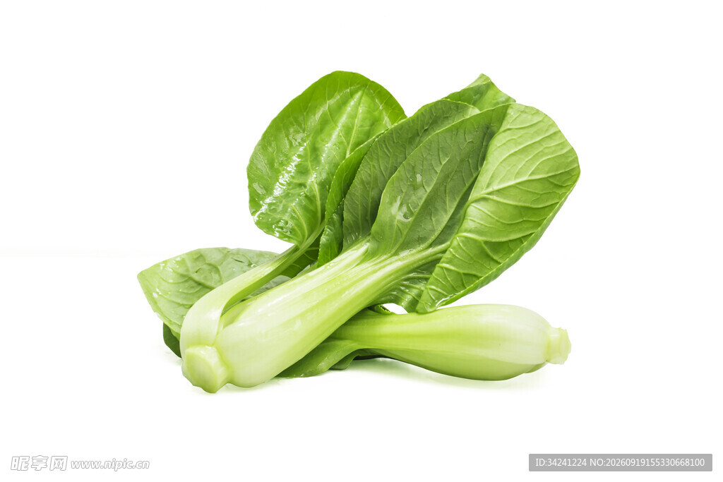 新鲜小白菜