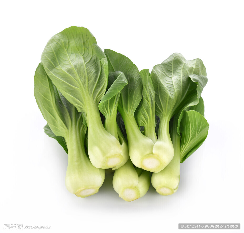 新鲜小白菜