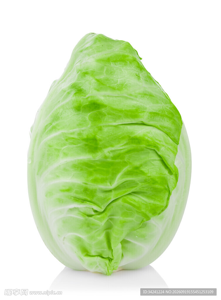 新鲜圆白菜