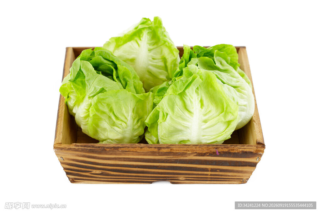 木盒中的新鲜圆生菜