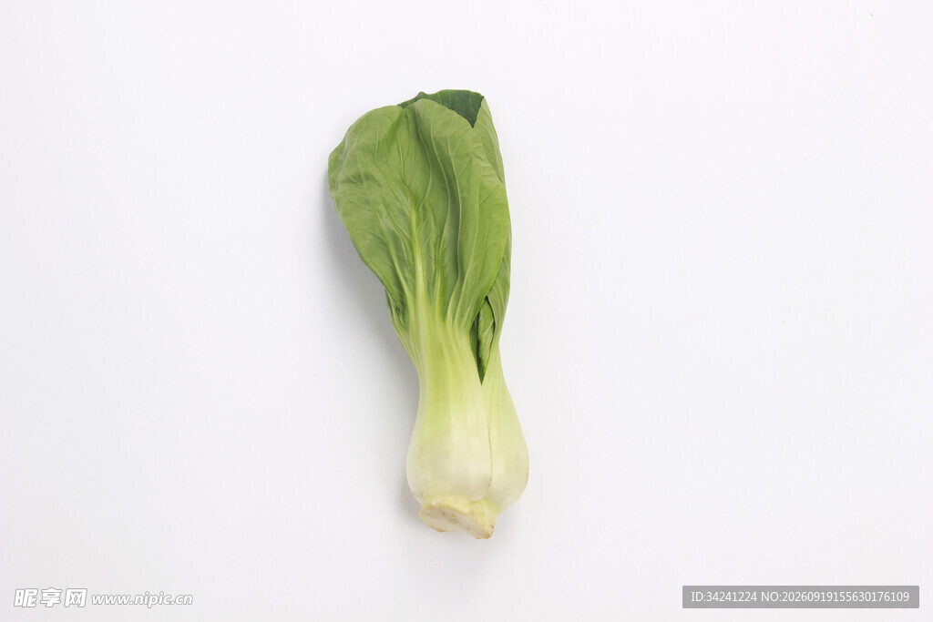 一颗鲜嫩的小白菜