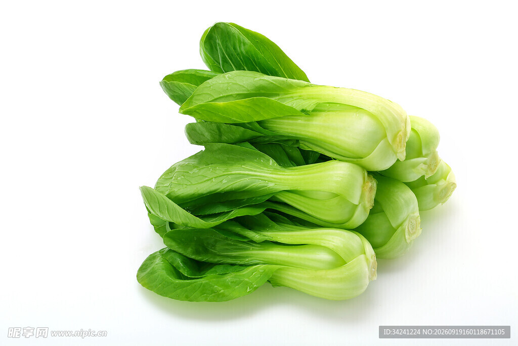 新鲜青菜堆叠