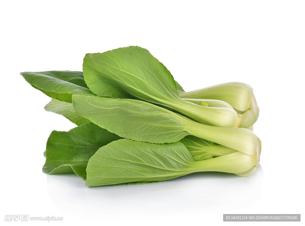 新鲜小白菜