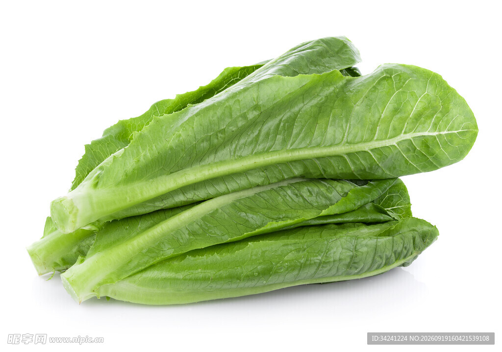 新鲜生菜堆叠