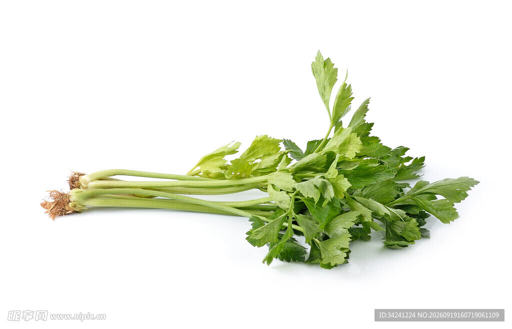 新鲜翠绿芹菜