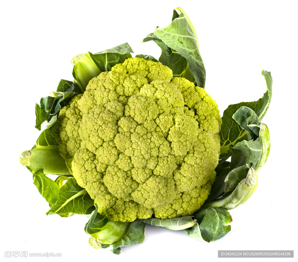 新鲜花椰菜