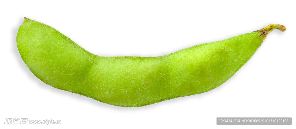 鲜绿饱满的一颗嫩豌豆