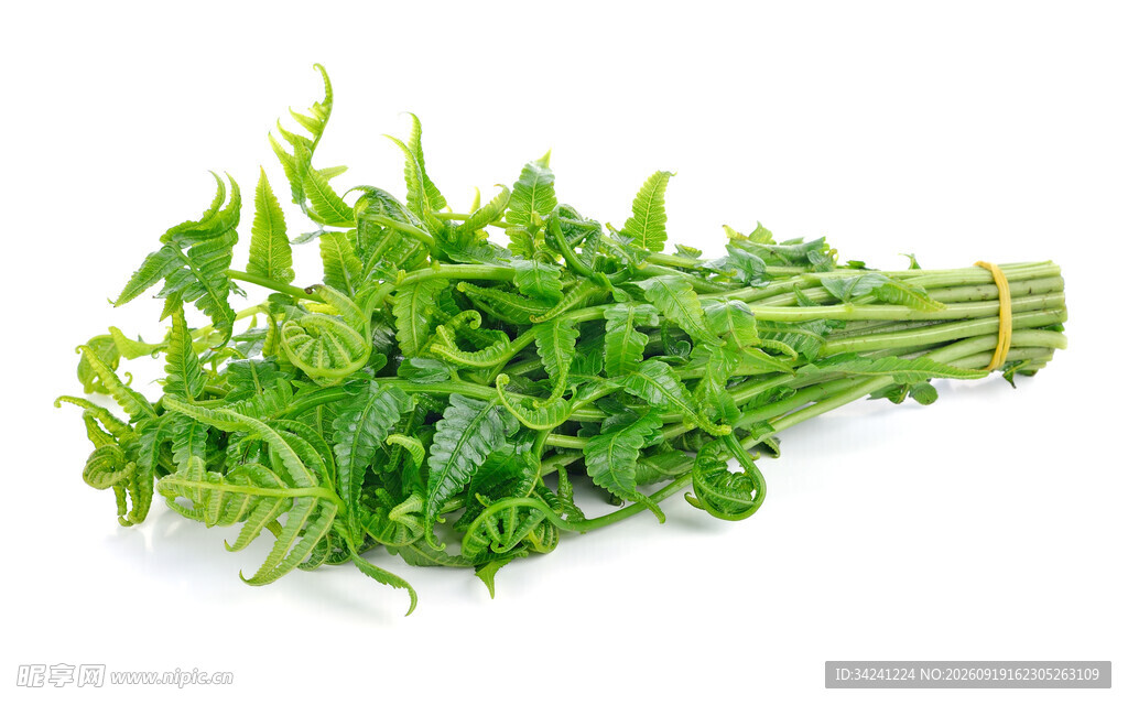 新鲜翠绿芝麻菜一束