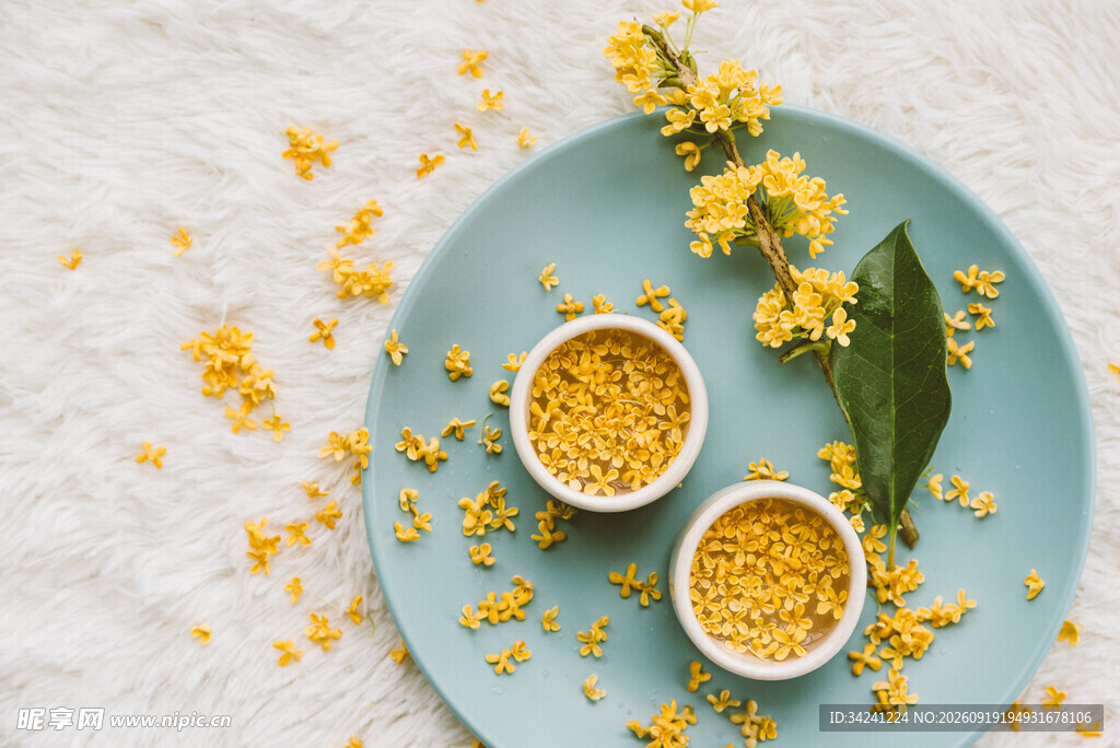 蓝色盘上的黄色桂花