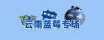 云南蓝莓专场宣传图