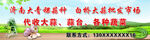 大蒜海报