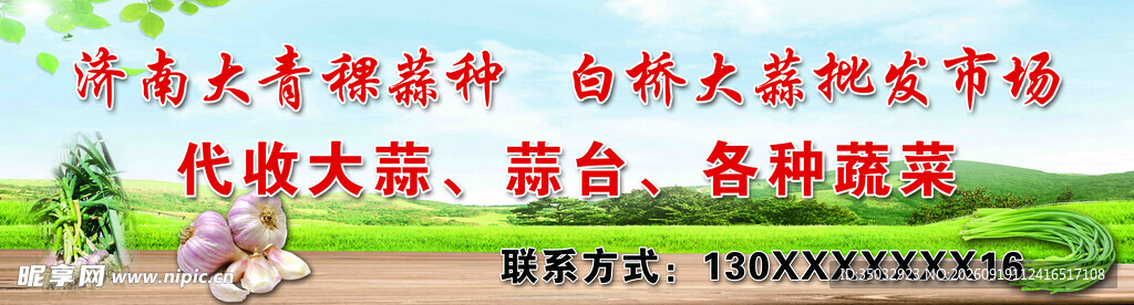 大蒜海报
