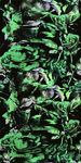 深绿繁茂植物叶片纹理