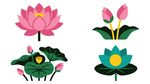 荷花图案合集