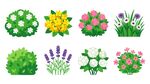 卡通花草合集
